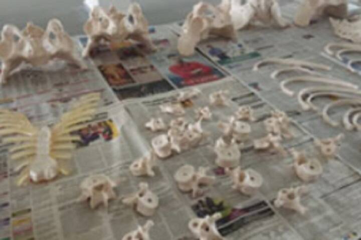 laboratory